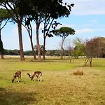 Casa Indipendente Pisa